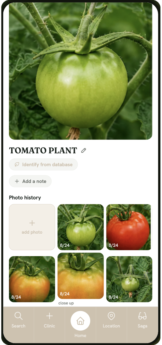 A My Grein thread — a post's dated photo history growing over time